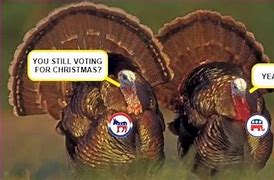 turkeys voting for christmas